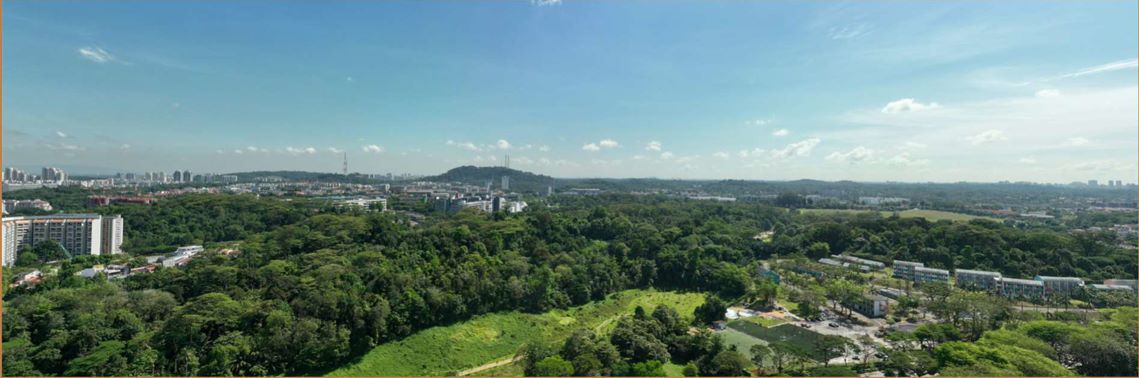 Pinetree Hill Gallery Image 4